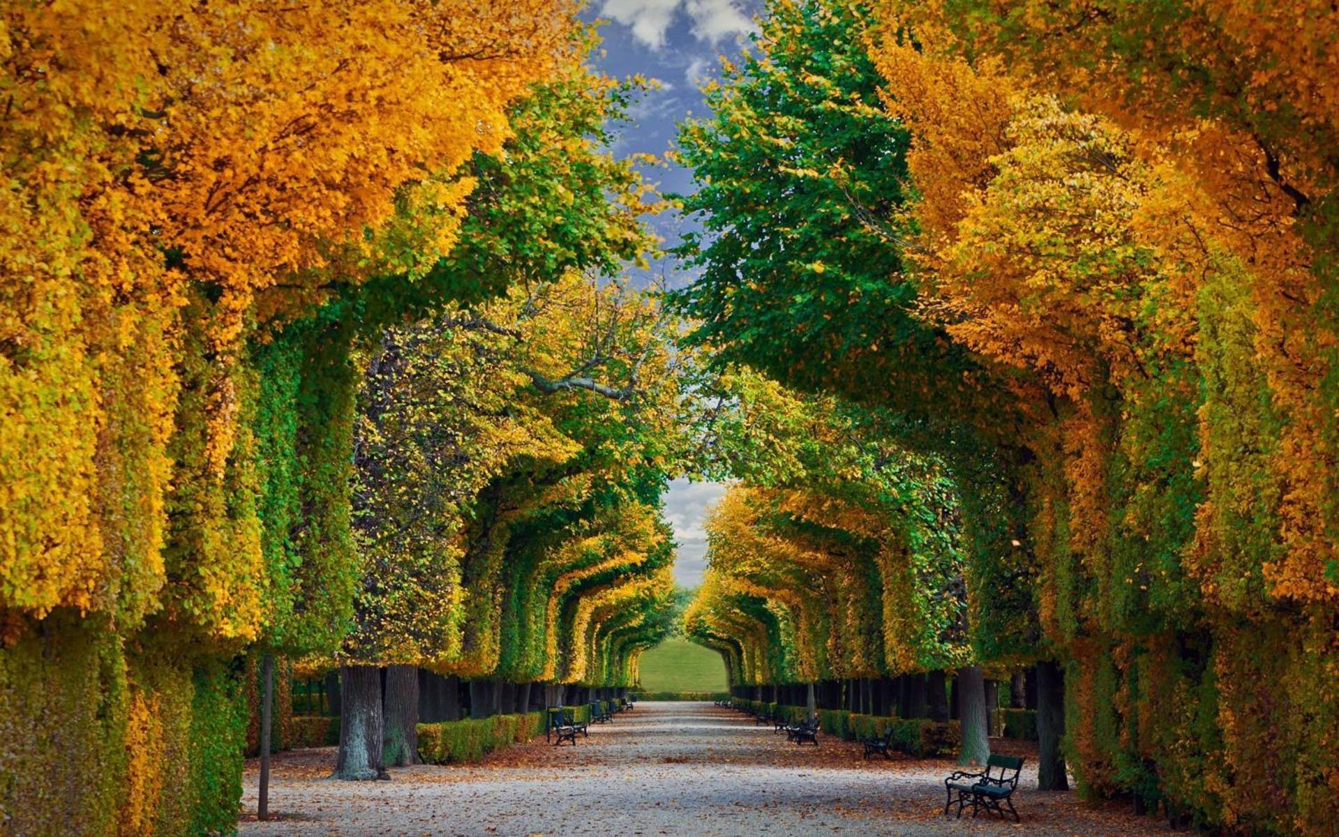 Luxe View Schoenbrunn Suite Wien Exteriör bild